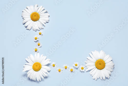 Fresh white daisy flowers a...