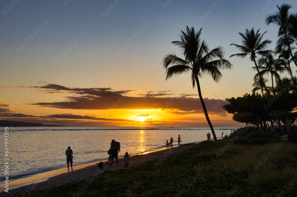 Palm tree and people in silhoutte at a maui beach at sunset.