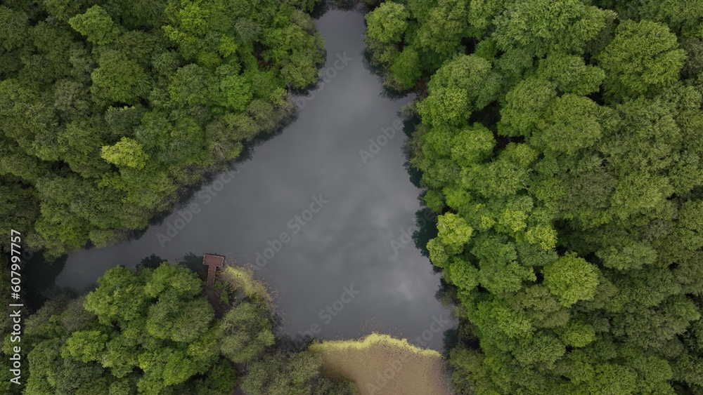 Naklejka premium default