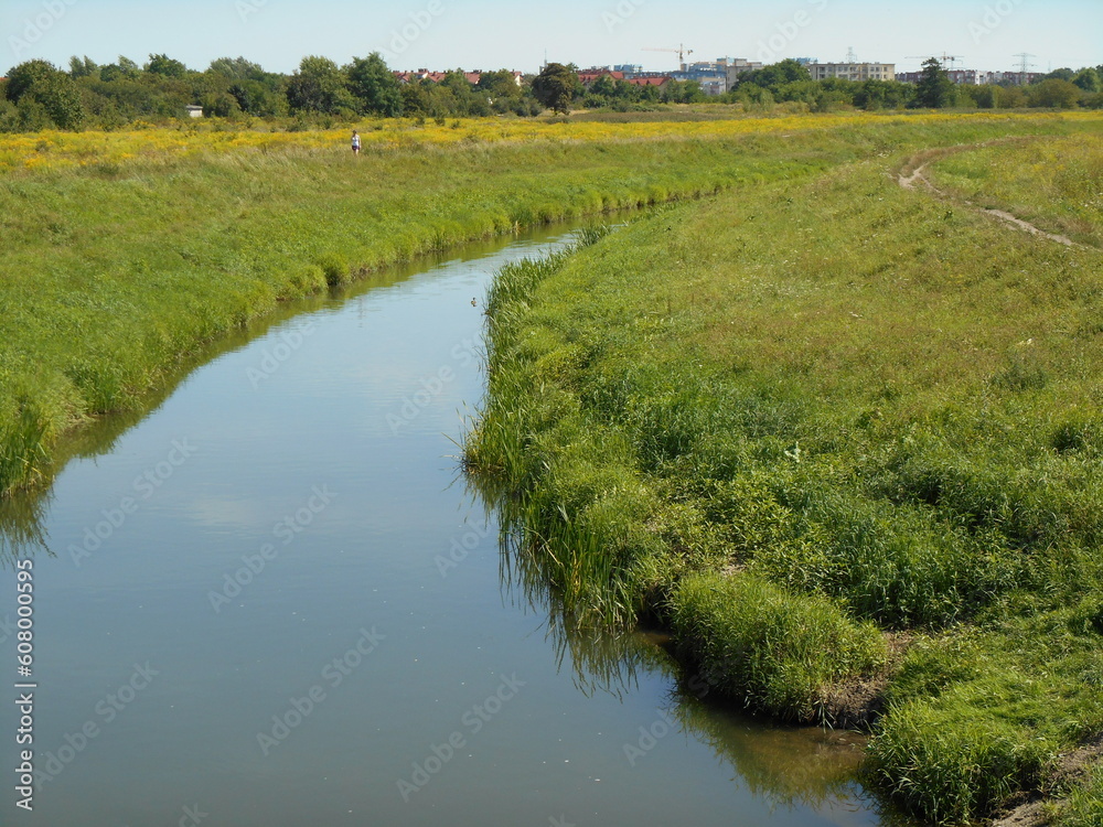 Arched riverbed. Sunny summer day. Herbaceous vegetation in the background and trees in the distance. Arched riverbed. Sunny summer day. Herbaceous vegetation in the background and trees in the distance.