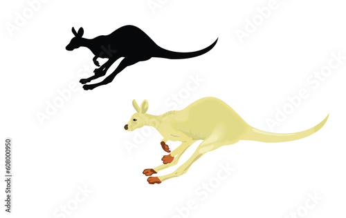 Running kangaroo isolated on a white background. Vector