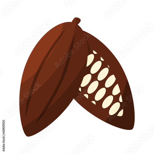 cocoa bean plant fruit chocolate day element