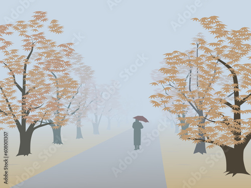 A lone traveler going on the tree-lined alley in the fog in autumn
