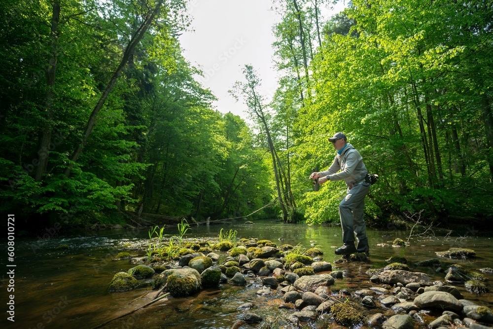 Obraz premium Fisherman catching brown trout on spinning tackle standing in river.