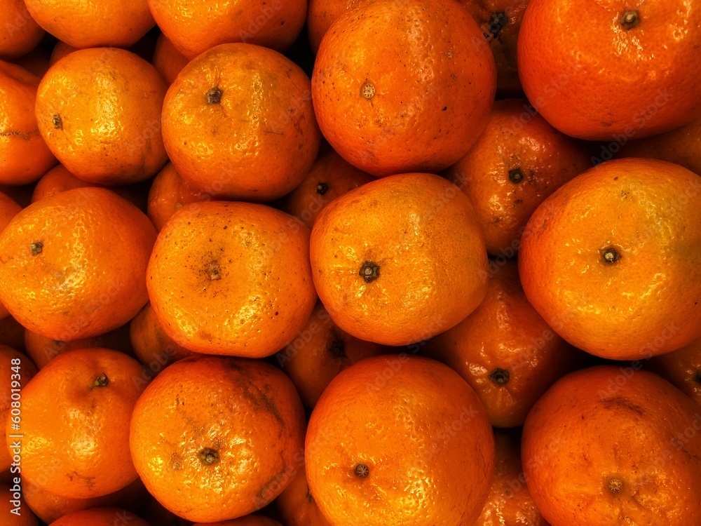 Healthy fruits. Fresh oranges. Oranges for making juice. Healthy fruits. Fresh oranges. Oranges for making juice.