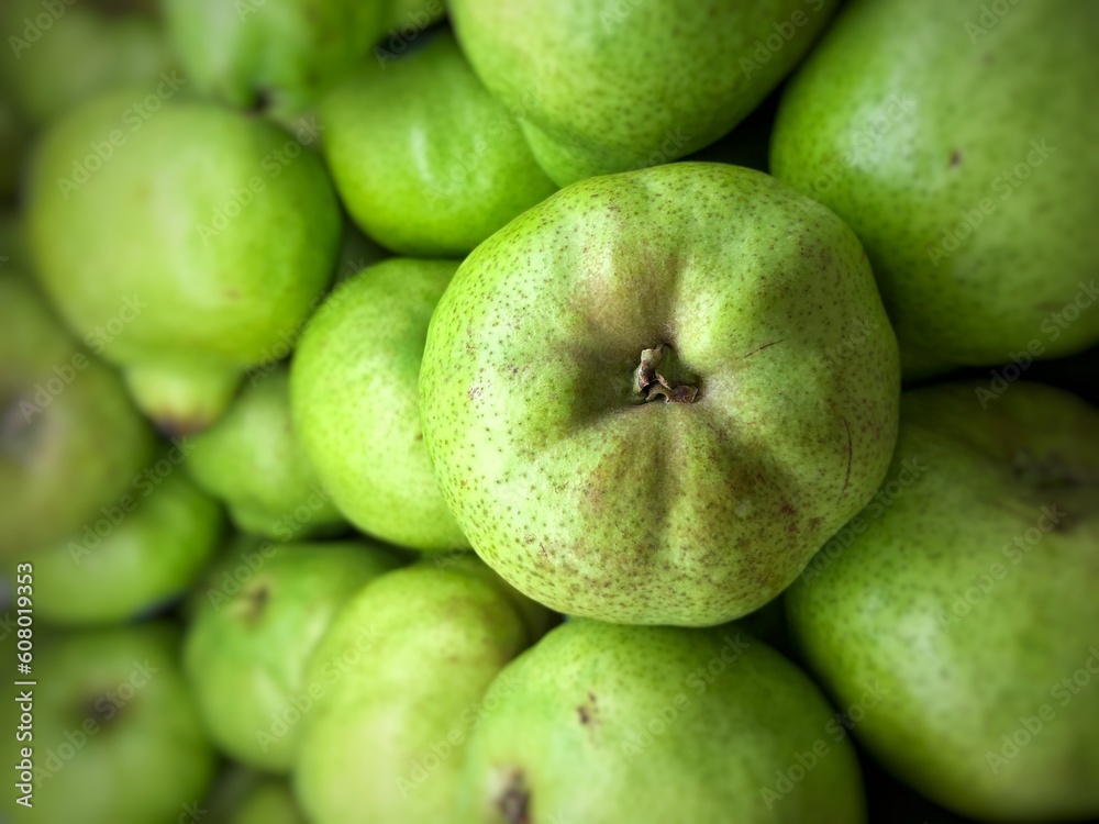 Healthy fruits. Fresh guava. Guava for making juice. Healthy fruits. Fresh guava. Guava for making juice.