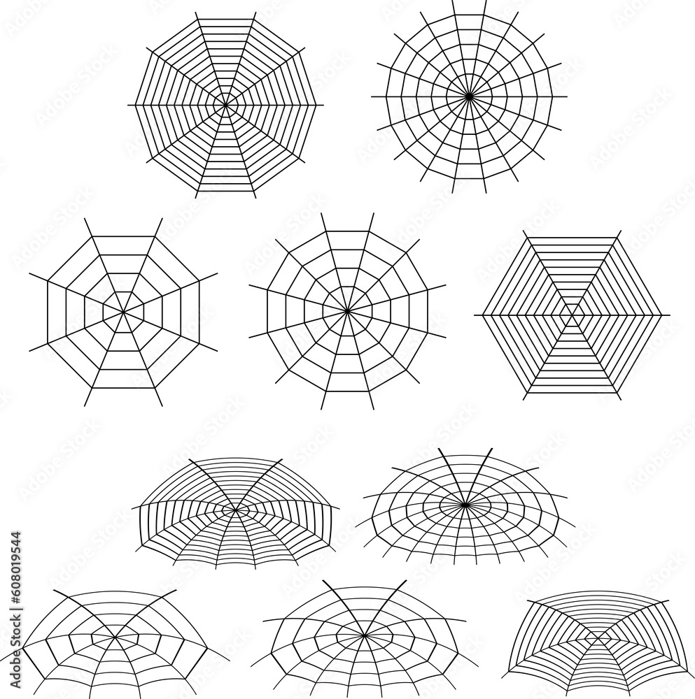 Fototapeta premium halloween cobweb background. halloween cobweb wallpaper. cobweb background. 