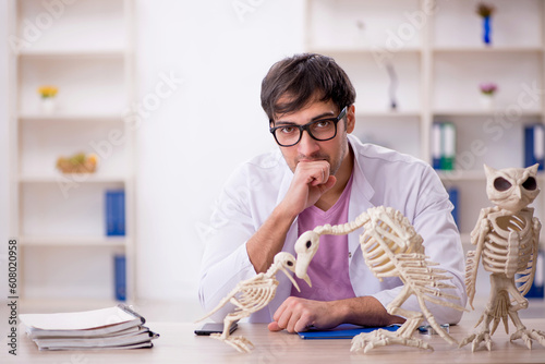 Young male paleontologist examining ancient animals at lab