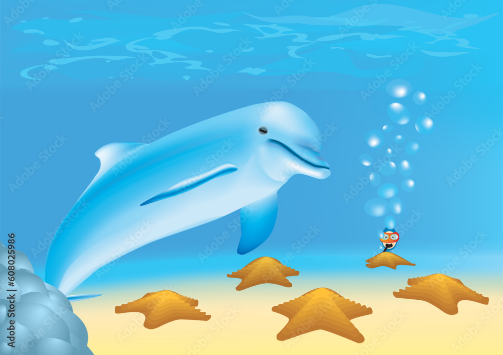 Newbie diver is looking at a dolphin and sea-stars underwater Newbie diver is looking at a dolphin and sea-stars underwater