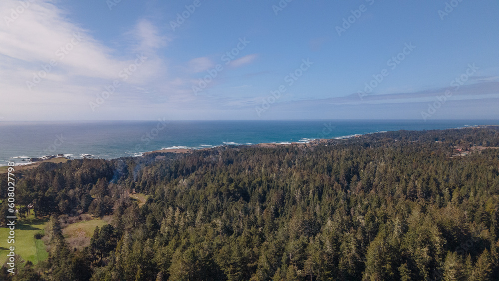 Aerial sea view above redwood forest in Northern California