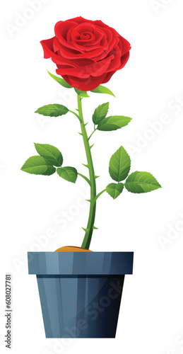 Beautiful red rose in pot vector illustration isolated on white