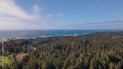 Aerial sea view above redwood forest in Northern California