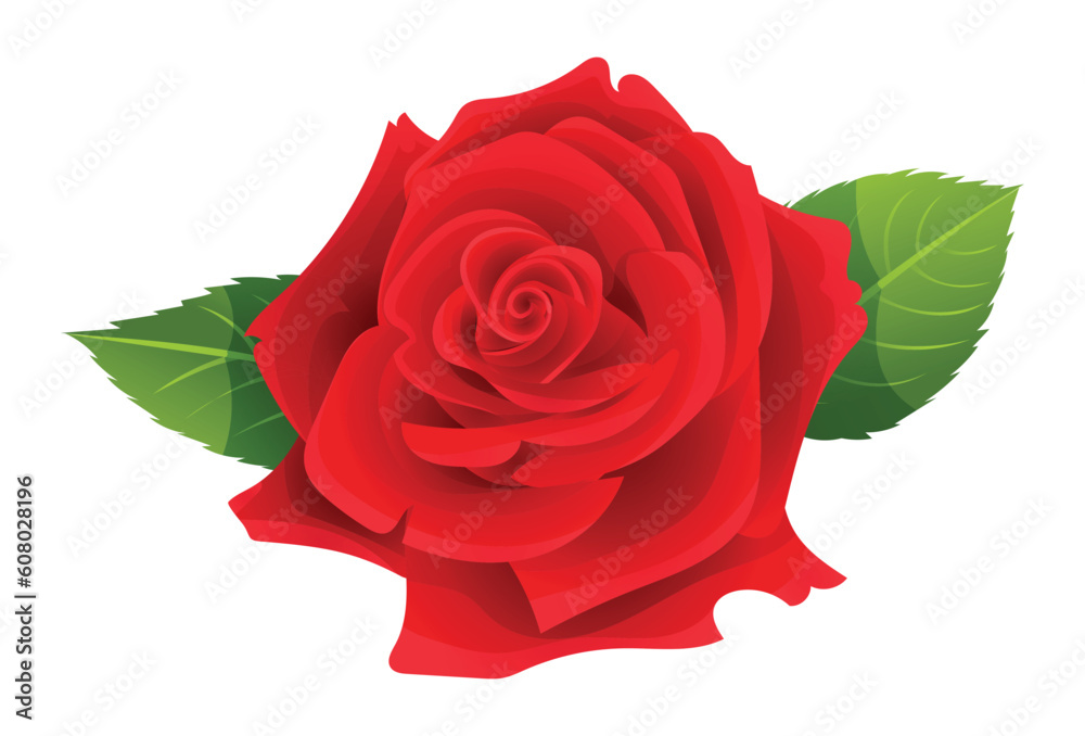Naklejka premium Beautiful red rose vector illustration