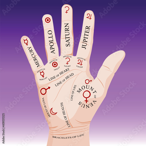 Palm Reading Palmistry