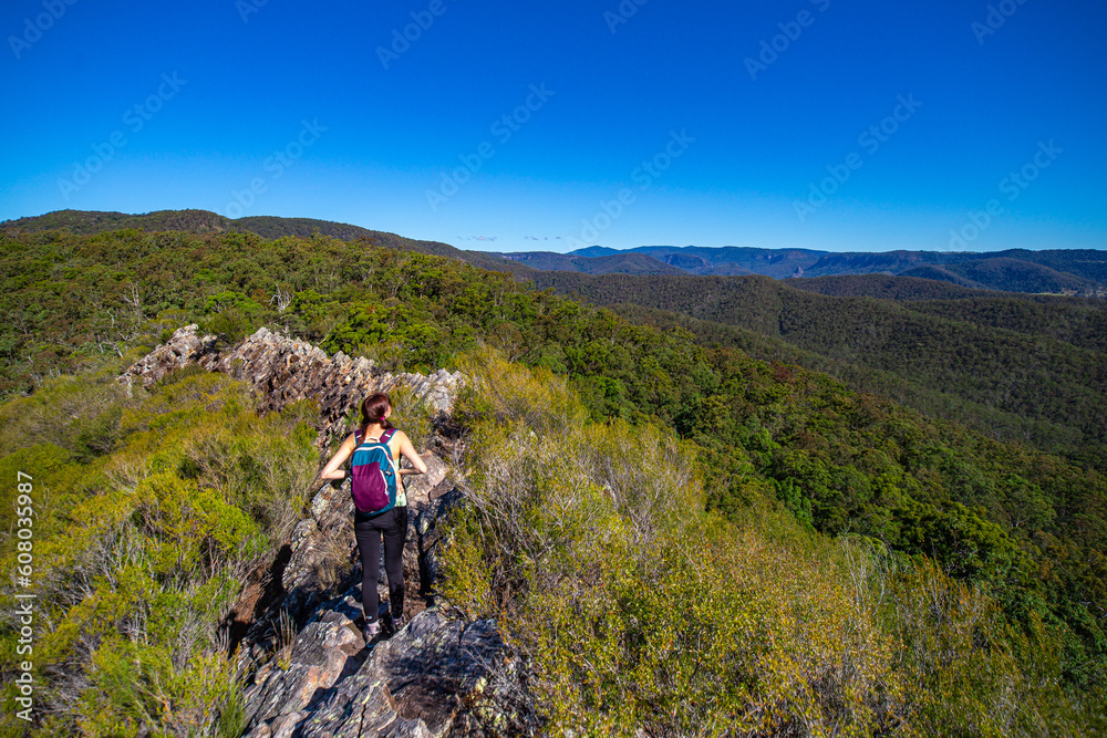 Bautiful adventurer girl climbs the narrow rock walls of the razorback ridge on Pages Pinnacle. Hidden gems in Springbrook National Park, Gold Coast, Queensland, Australia