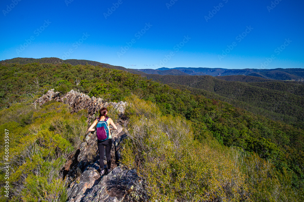 Fototapeta premium Bautiful adventurer girl climbs the narrow rock walls of the razorback ridge on Pages Pinnacle. Hidden gems in Springbrook National Park, Gold Coast, Queensland, Australia