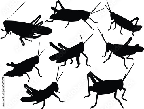grasshoppers silhouette collection - vector