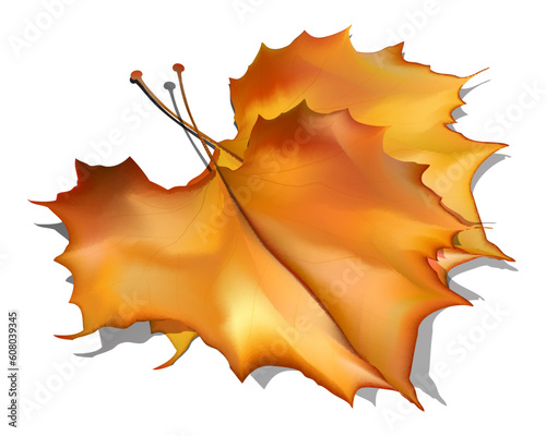 autumn editable vector leaf
