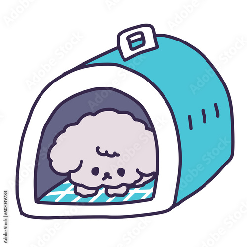 クレートに入って横になっているかわいいトイプードルの子犬のイラスト（しつけ）