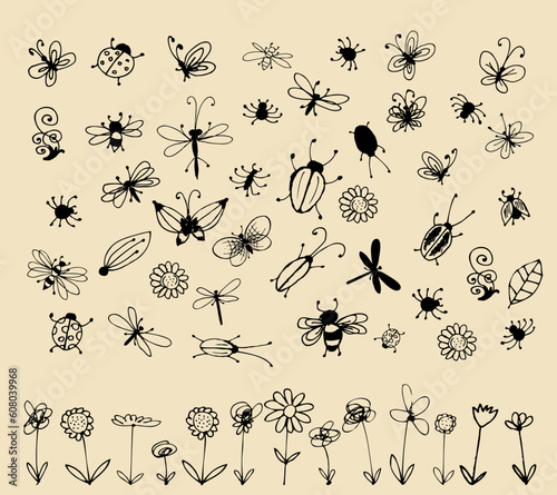 Insect sketch collection for your design © Designpics