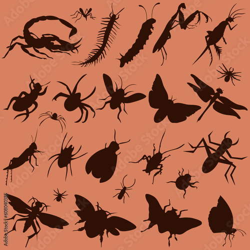 vector set of various bugs © Designpics