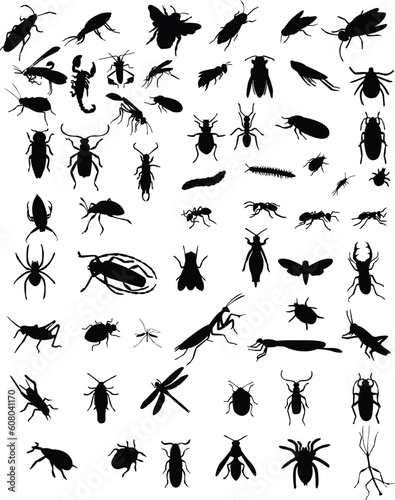 collection of 60 bugs - vector © Designpics