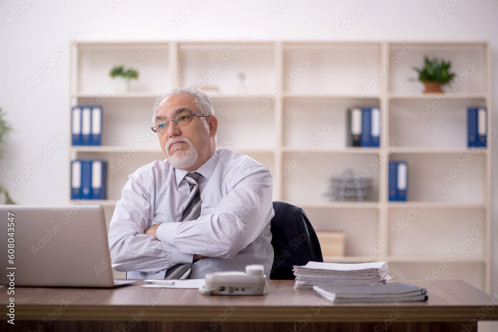 Old male employee working in the office Old male employee working in the office