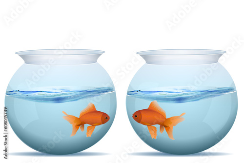 illustration of fishes in tanks