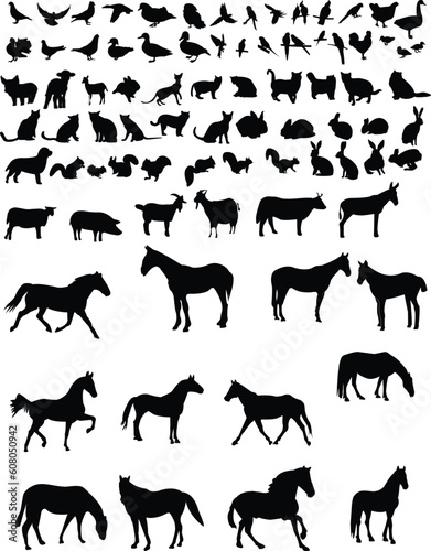 animals silhouette collection vector