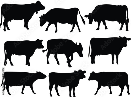 cow silhouette collection - vector