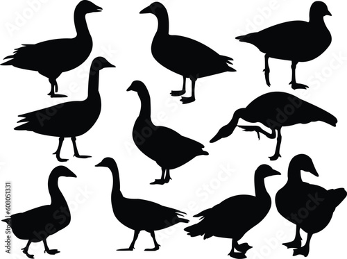 goose collection silhouette - vector