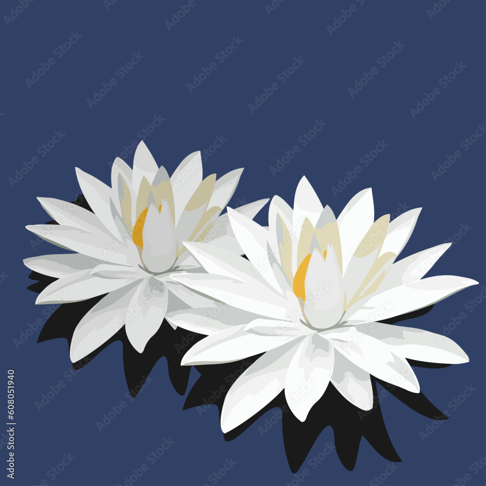 Vector illustration of lotus is isolated on blue background Vector illustration of lotus is isolated on blue background