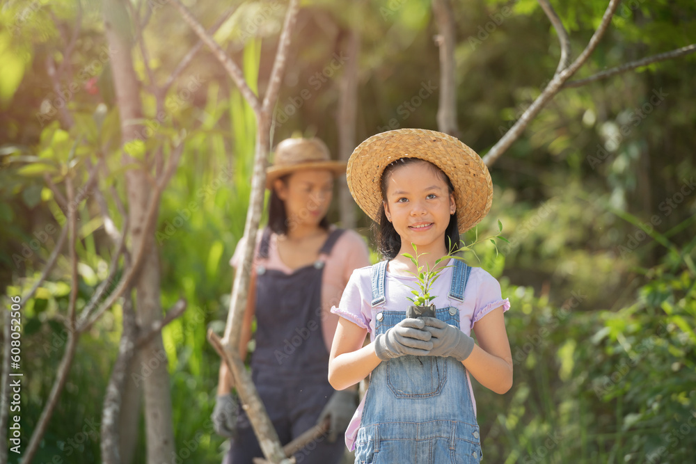 Fototapeta premium Cute little child girl with seedlings. volunteering, charity, people and ecology concept - volunteers hands planting tree seedling in park. Asian little girl holding a seedling.
