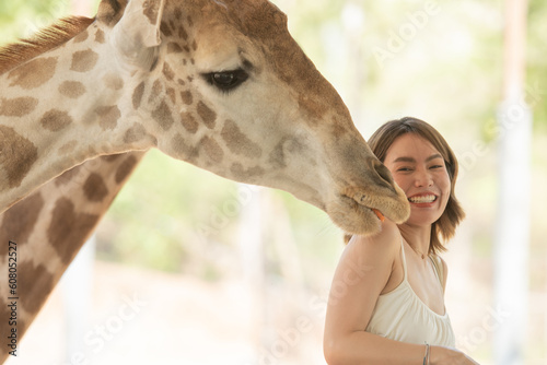 Photography Happy young woman smiling with perfect smile feeding giraffe in zoo