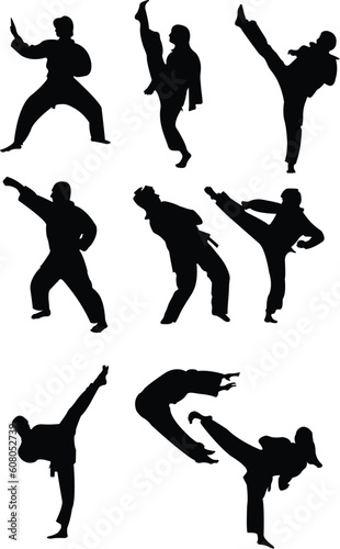 taekwondo collection - vector