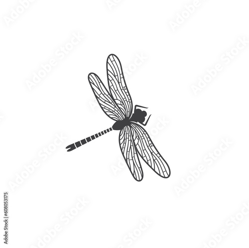 illustration of dragonfly, insect, vector art.