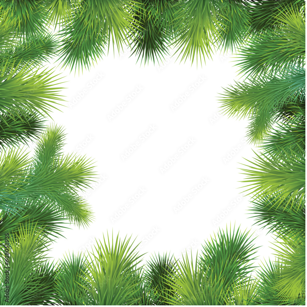 christmas background with christmas tree. Frame with green fir