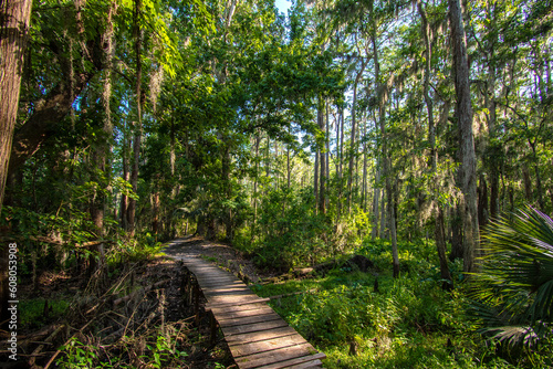 Bridge crossing in the forest while hiking and exploring the beautiful forest at Shingle Creek in Kissimmee just south of Orlando, Florida photo