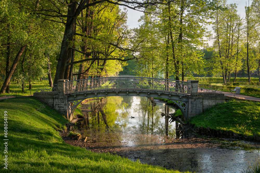 View of the cast-iron openwork bridge across the water maze channel near the White Lake in Gatchina Park on a sunny summer morning, Gatchina, St. Petersburg, Russia