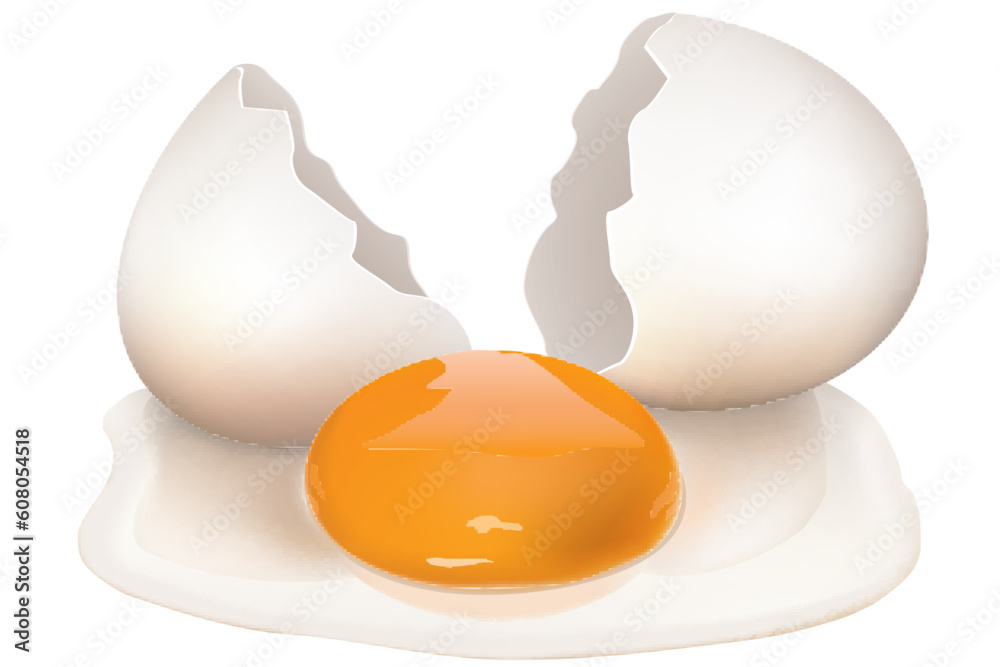 illustration of broken egg on white background illustration of broken egg on white background