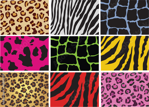 vector illustration of animal skin texture wild and domestic