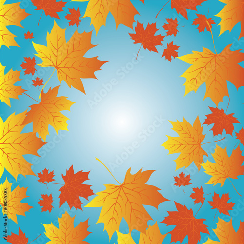 autumn leaves against a background of blue sky