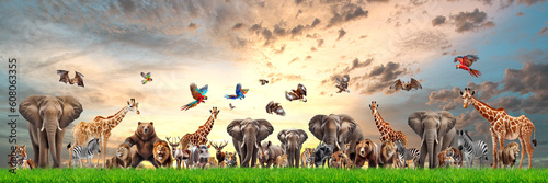 Many wild animals in the meadow On white background with clipping path. generative AI © Picture for You