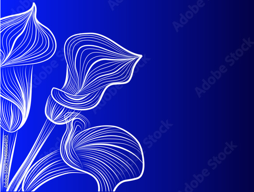Quadro em tela visiting-card decoratively abstraction banner design