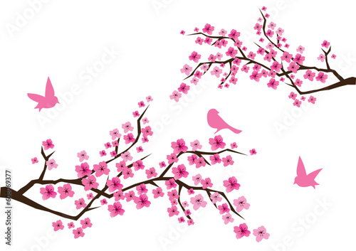 cherry blossom with birds