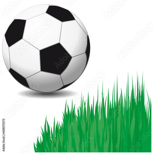 Vector soccer ball. Isolated shiny soccer ball