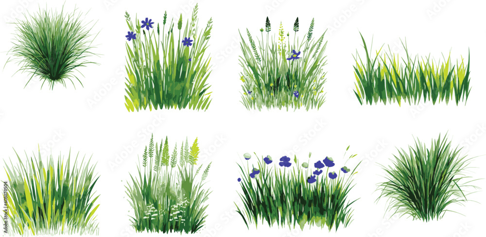 Set of Grass and Wildflower Vector