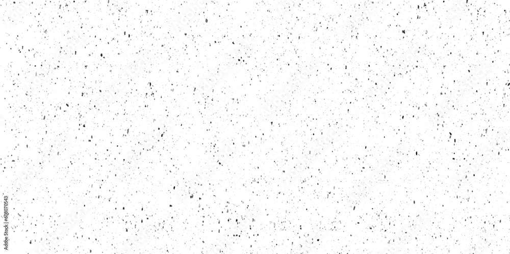 Image includes a effect the black and white tones. grunge texture for background. Grainy abstract texture on a white background. Highly detailed grunge background with space. - obrazy, fototapety, plakaty 