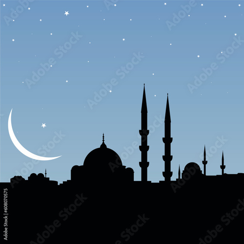 vector cityscape of istanbul