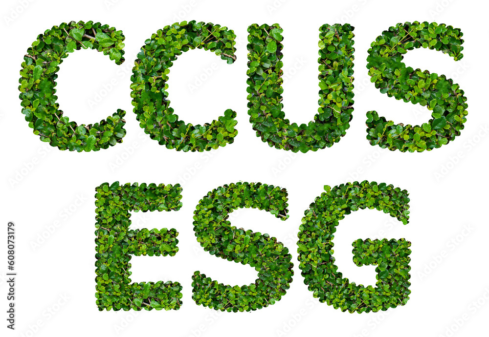 CCUS and ESG text with green leaves on transparent background. CCUS and ESG text with green leaves on transparent background.